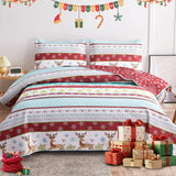 Christmas Quilts Set Twin/Queen/King Size Quilt Microfiber Bedspread Coverlet Set